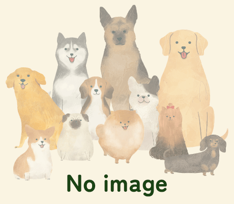 デフォルト画像